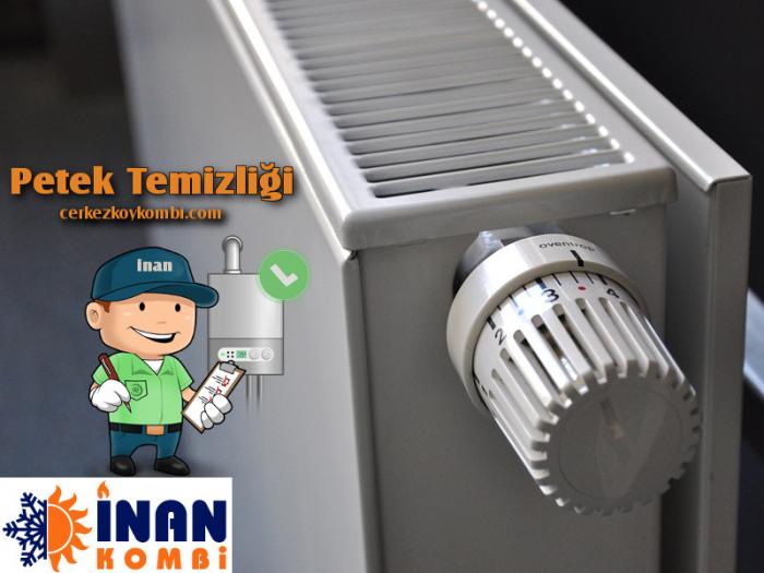 Petek Temizleme